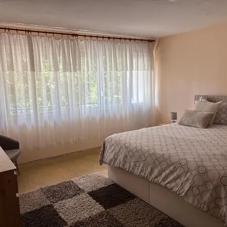 Ante Apartment Split