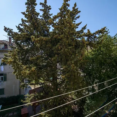Ante Lejlighed